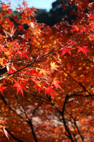 f:id:gzutetsu:20091206100852j:image