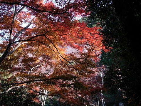 f:id:gzutetsu:20091206102059j:image