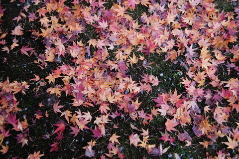 f:id:gzutetsu:20091206103008j:image