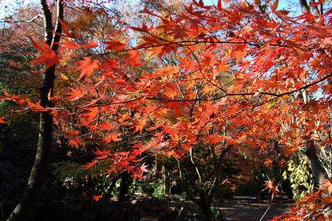f:id:gzutetsu:20091206103823j:image