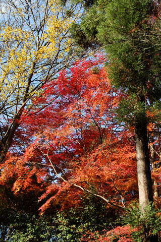 f:id:gzutetsu:20091206103936j:image