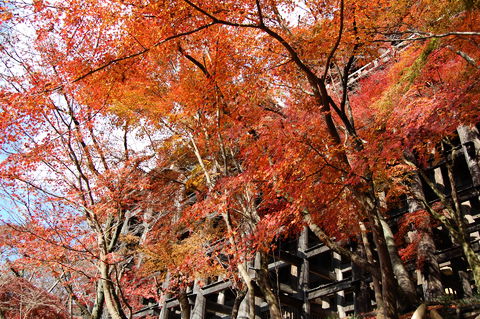 f:id:gzutetsu:20091206105537j:image