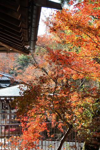 f:id:gzutetsu:20091206105729j:image