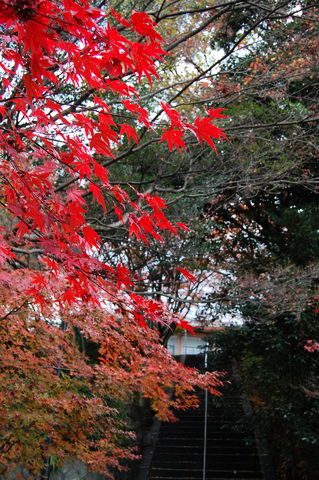 f:id:gzutetsu:20091206123804j:image