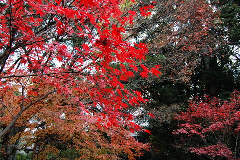 f:id:gzutetsu:20091206123908j:image