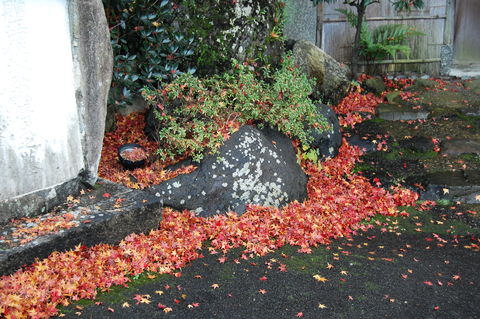 f:id:gzutetsu:20091206125908j:image