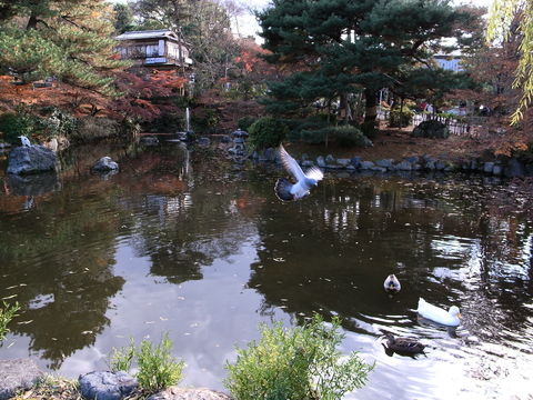 f:id:gzutetsu:20091206133629j:image