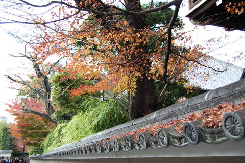 f:id:gzutetsu:20091206133658j:image