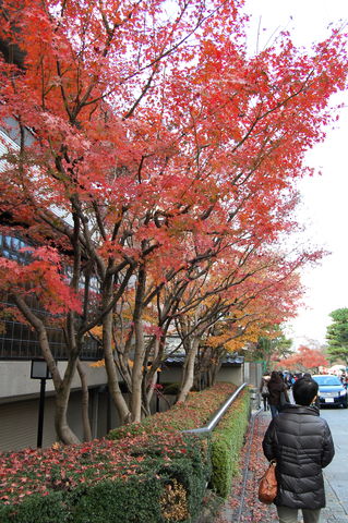 f:id:gzutetsu:20091206133845j:image