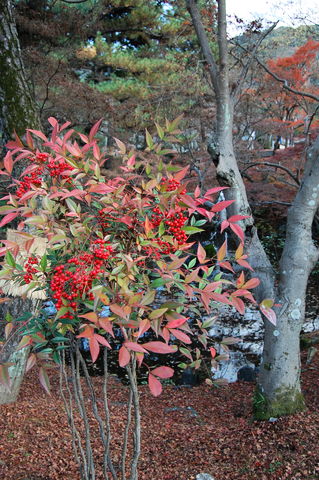 f:id:gzutetsu:20091206134148j:image