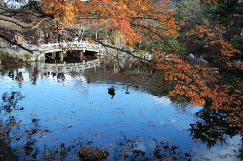 f:id:gzutetsu:20091206134301j:image