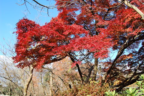 f:id:gzutetsu:20091206134637j:image