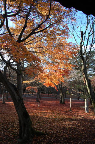 f:id:gzutetsu:20091206150607j:image