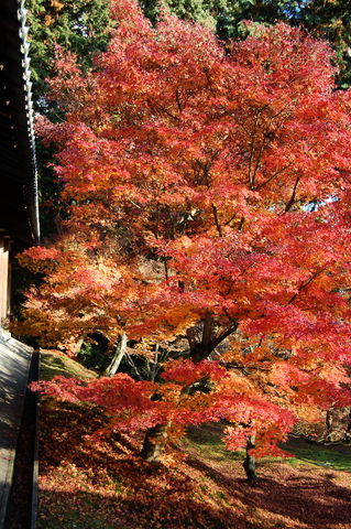 f:id:gzutetsu:20091206150940j:image