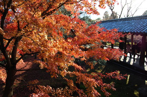 f:id:gzutetsu:20091206151022j:image
