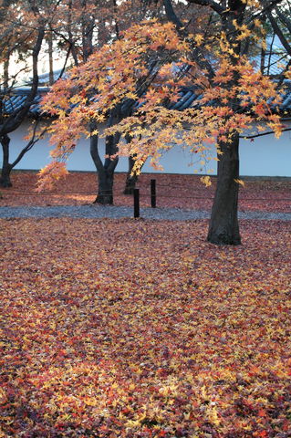 f:id:gzutetsu:20091206152632j:image