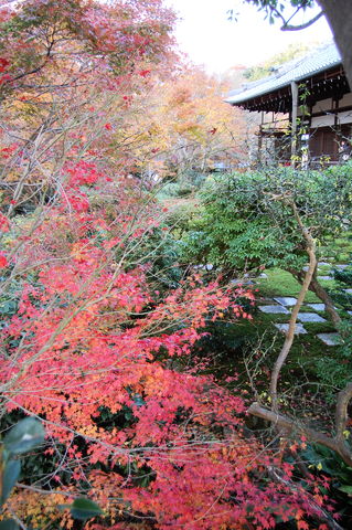 f:id:gzutetsu:20091206153916j:image