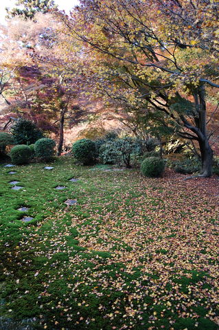 f:id:gzutetsu:20091206154211j:image