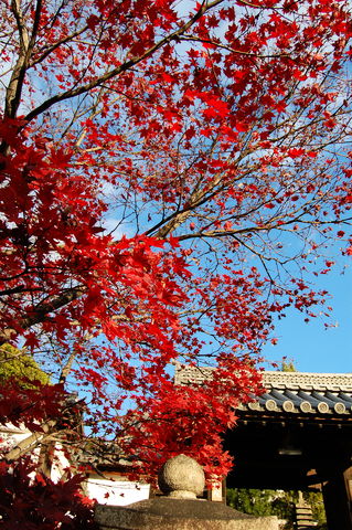 f:id:gzutetsu:20091206155627j:image