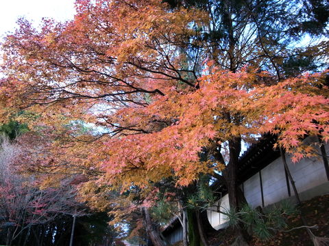 f:id:gzutetsu:20091206155804j:image