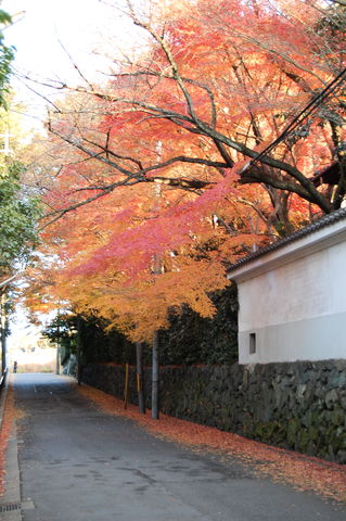 f:id:gzutetsu:20091206160328j:image