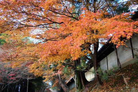 f:id:gzutetsu:20091206160556j:image