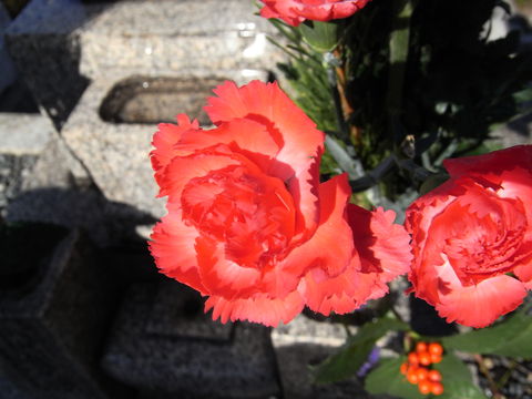 f:id:gzutetsu:20091225114412j:image