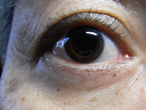 f:id:gzutetsu:20100206134208j:image f:id:gzutetsu:20100206134208j:image