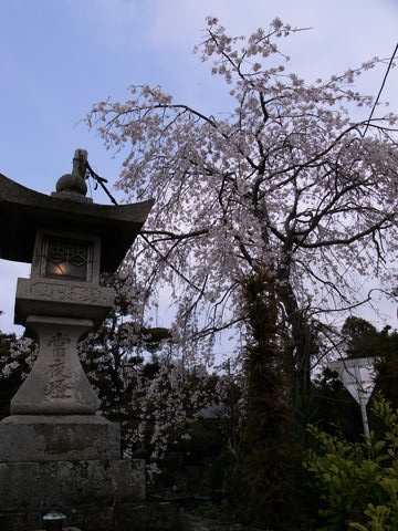 f:id:gzutetsu:20100320130747j:image
