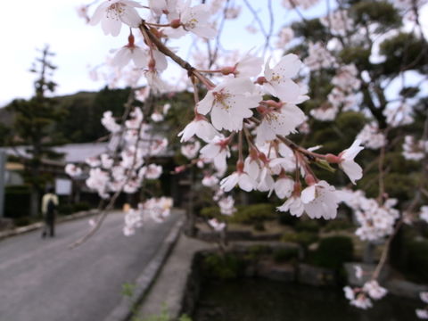 f:id:gzutetsu:20100320130858j:image