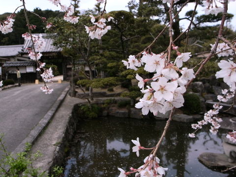 f:id:gzutetsu:20100320130906j:image