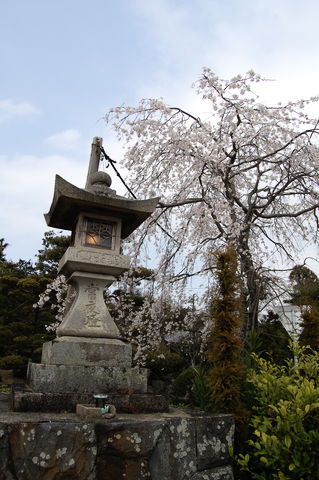 f:id:gzutetsu:20100320132340j:image