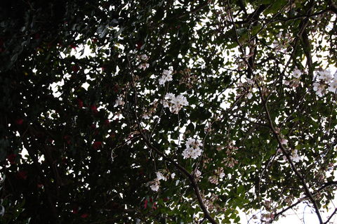 f:id:gzutetsu:20100320134950j:image