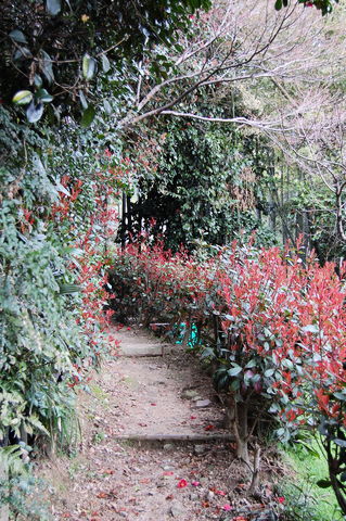 f:id:gzutetsu:20100320135113j:image