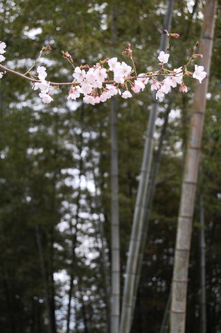 f:id:gzutetsu:20100320135237j:image