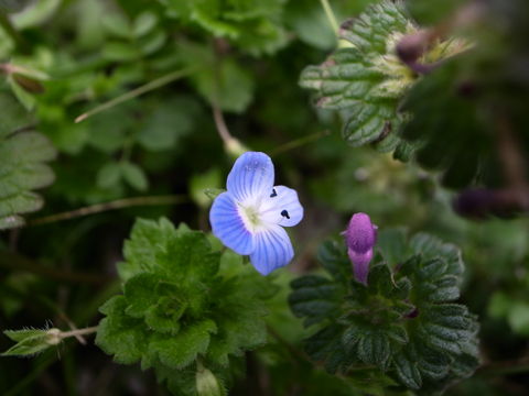 f:id:gzutetsu:20100320135543j:image