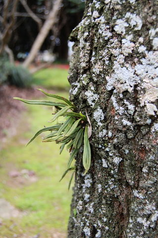 f:id:gzutetsu:20100320135557j:image