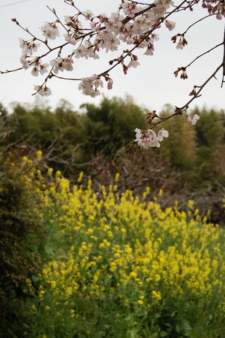 f:id:gzutetsu:20100320140415j:image
