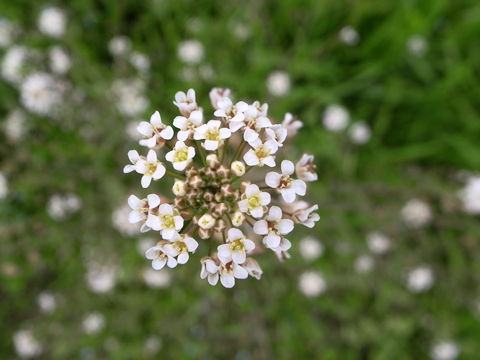 f:id:gzutetsu:20100320140552j:image