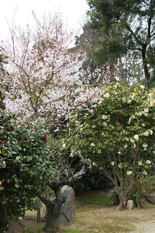 f:id:gzutetsu:20100320140646j:image