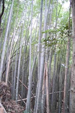 f:id:gzutetsu:20100320142902j:image