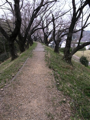 f:id:gzutetsu:20100320145852j:image