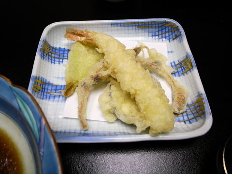 f:id:gzutetsu:20100320182242j:image