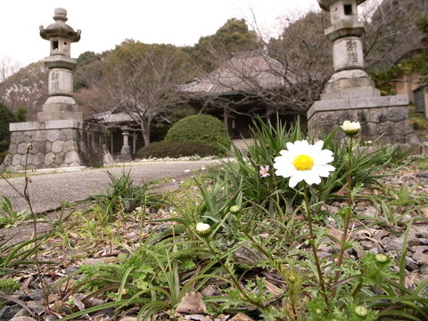 f:id:gzutetsu:20100321104335j:image