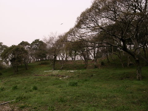 f:id:gzutetsu:20100321105036j:image