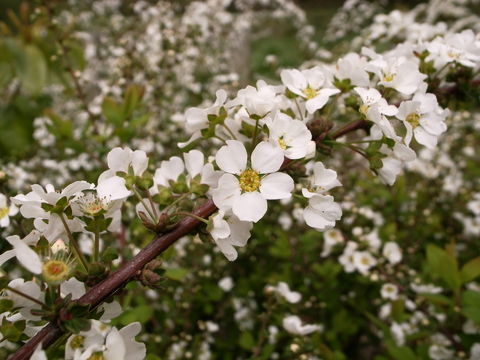 f:id:gzutetsu:20100321105422j:image