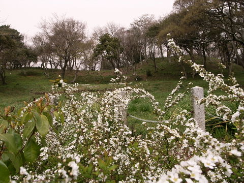 f:id:gzutetsu:20100321105436j:image
