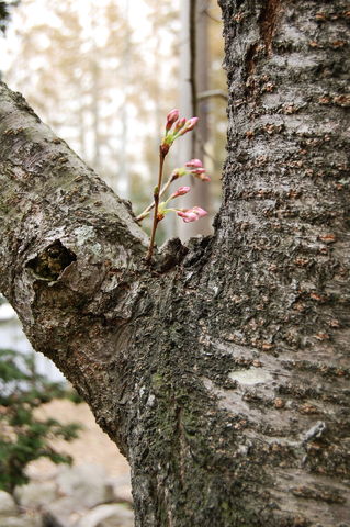 f:id:gzutetsu:20100321111906j:image
