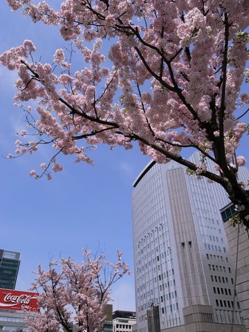 f:id:gzutetsu:20100418131138j:image