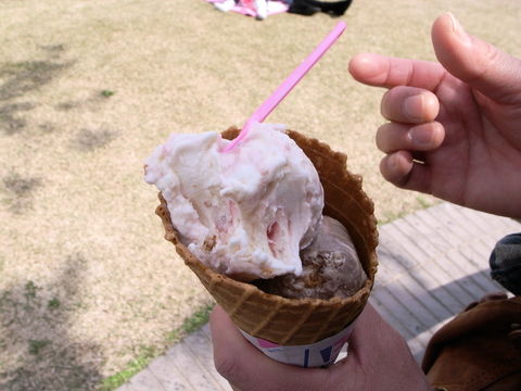 f:id:gzutetsu:20100418135636j:image